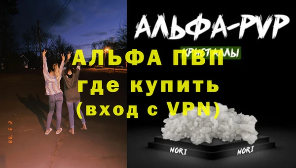 дживик Баксан