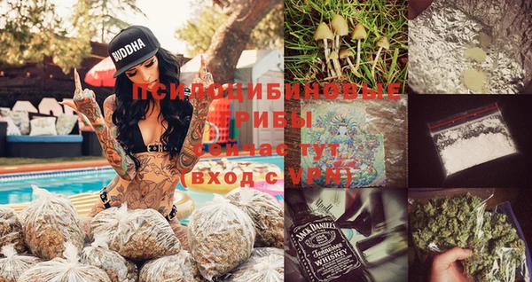 дживик Баксан