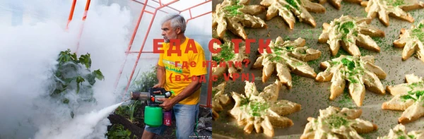 ПСИЛОЦИБИНОВЫЕ ГРИБЫ Балахна