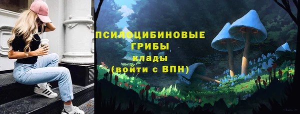 дживик Баксан