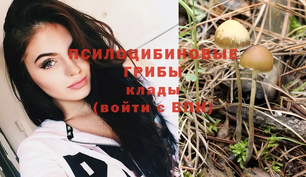 спиды Магас