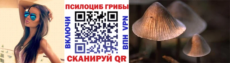 Галлюциногенные грибы Psilocybe  цены наркотик  Шахунья 